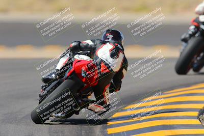 media/Oct-08-2022-SoCal Trackdays (Sat) [[1fc3beec89]]/Turn 11 Backside (1145am)/